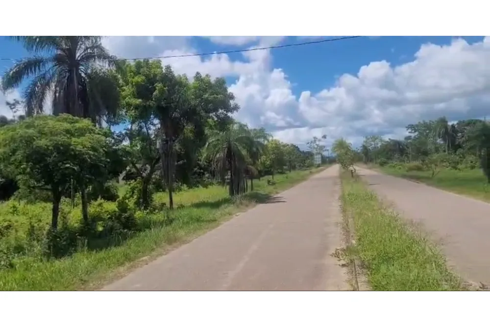 Foto 1 de 🌟 3.900 M² de Terreno Productivos y Frutales