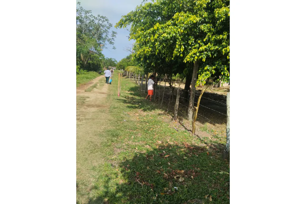 Foto 7 de 🌟 3.900 M² de Terreno Productivos y Frutales