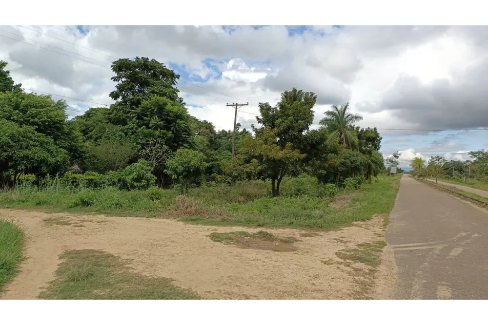 Foto 16 de 🌟 3.900 M² de Terreno Productivos y Frutales