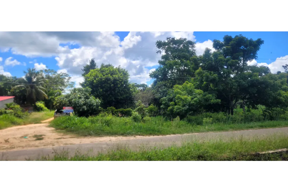 Foto 4 de 🌟 3.900 M² de Terreno Productivos y Frutales