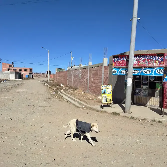 Foto 19 de Terreno en Venta – Zona Senkata, Marquirivi y Peñas