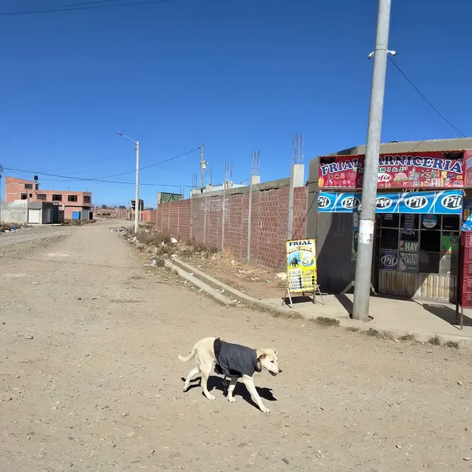Foto 19 de Terreno en Venta – Zona Senkata, Marquirivi y Peñas