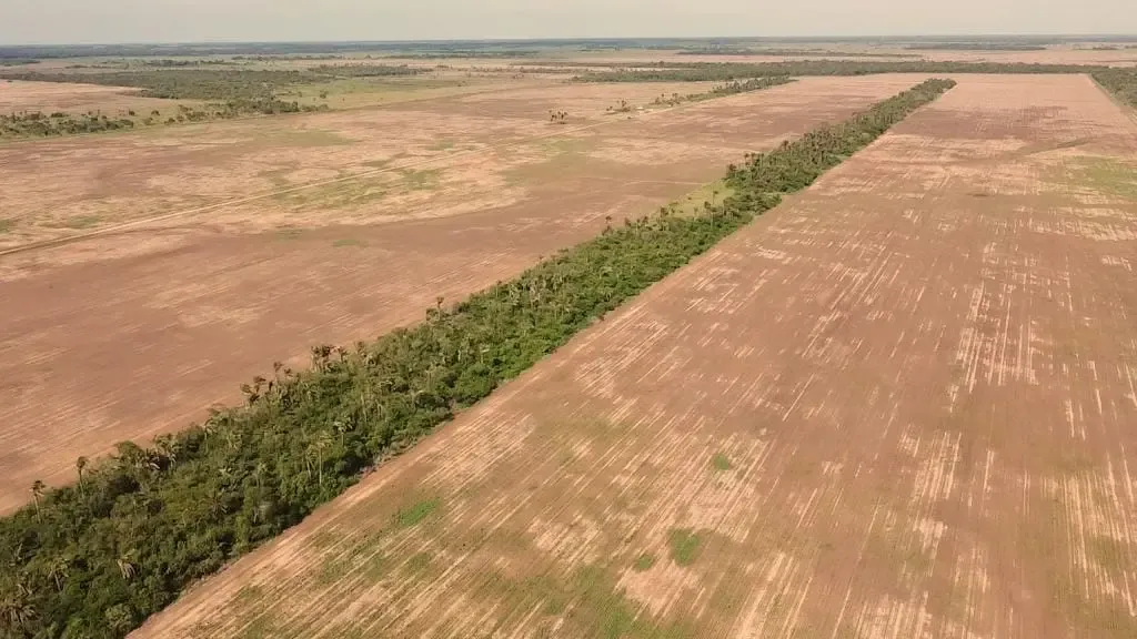 Foto 3 de Propiedad Agrícola en San Julián