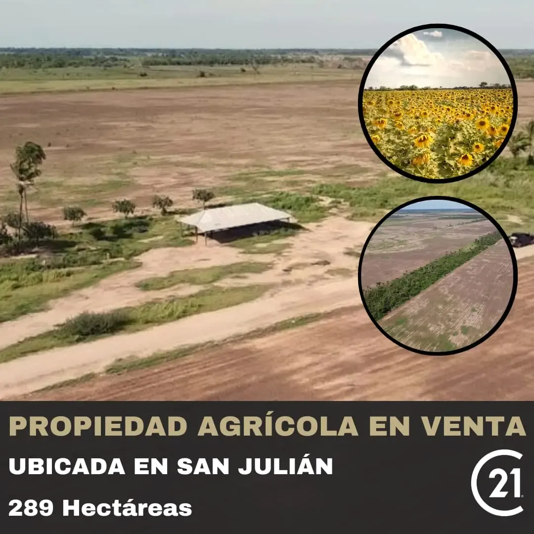 Foto 5 de Propiedad Agrícola en San Julián