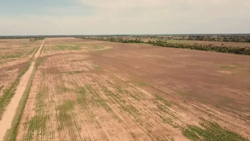 Foto 2 de Propiedad Agrícola en San Julián