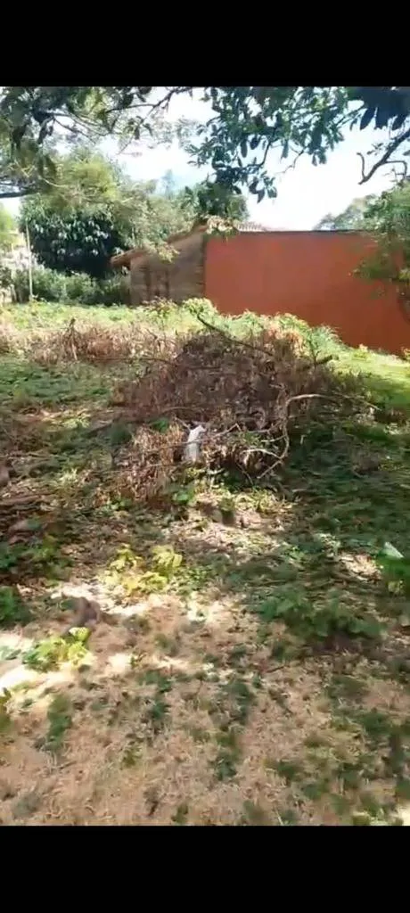 Foto 2 de Terreno en Venta