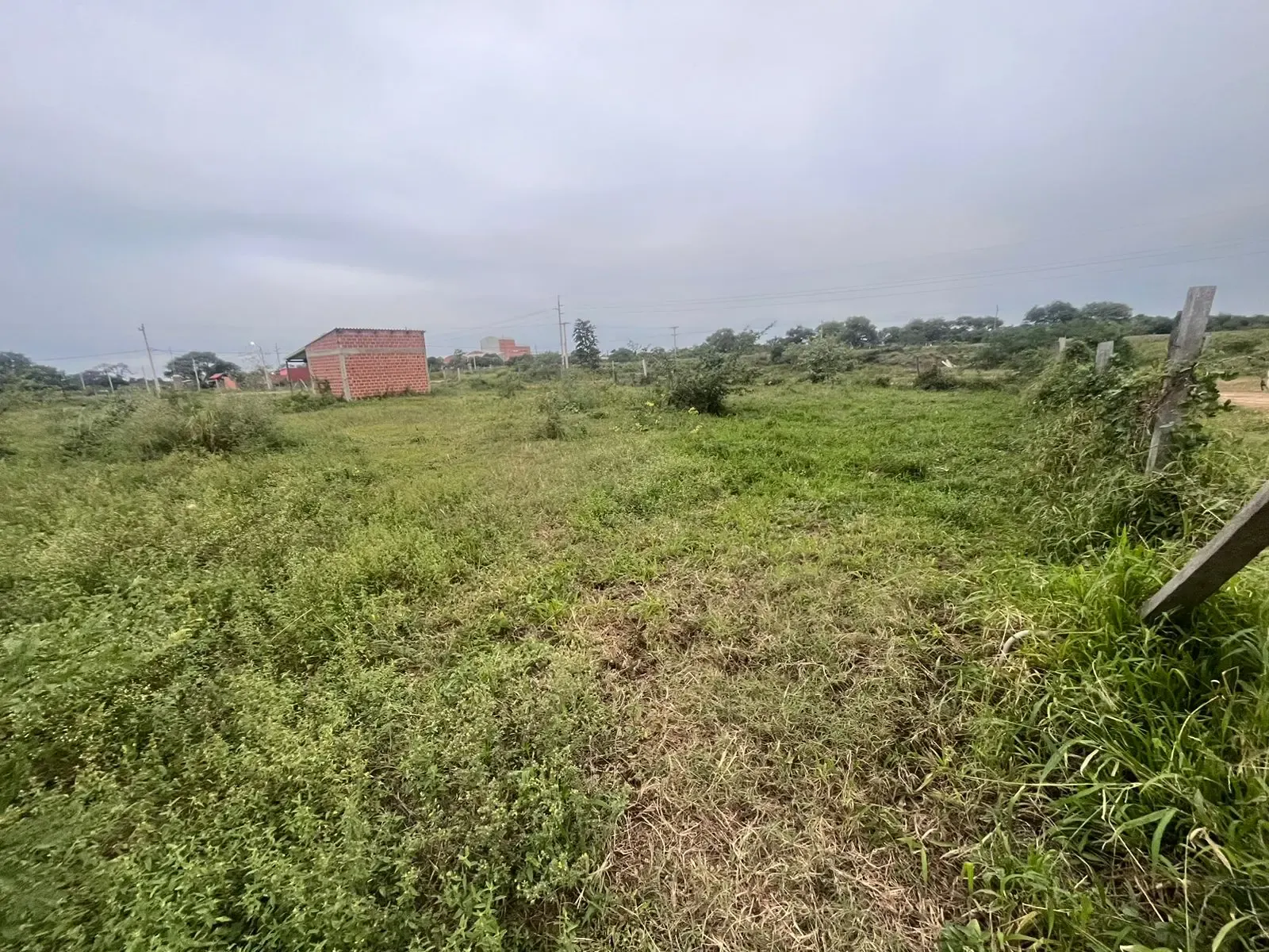 Foto 5 de Terreno Amplio en El Municipio de Cotoca