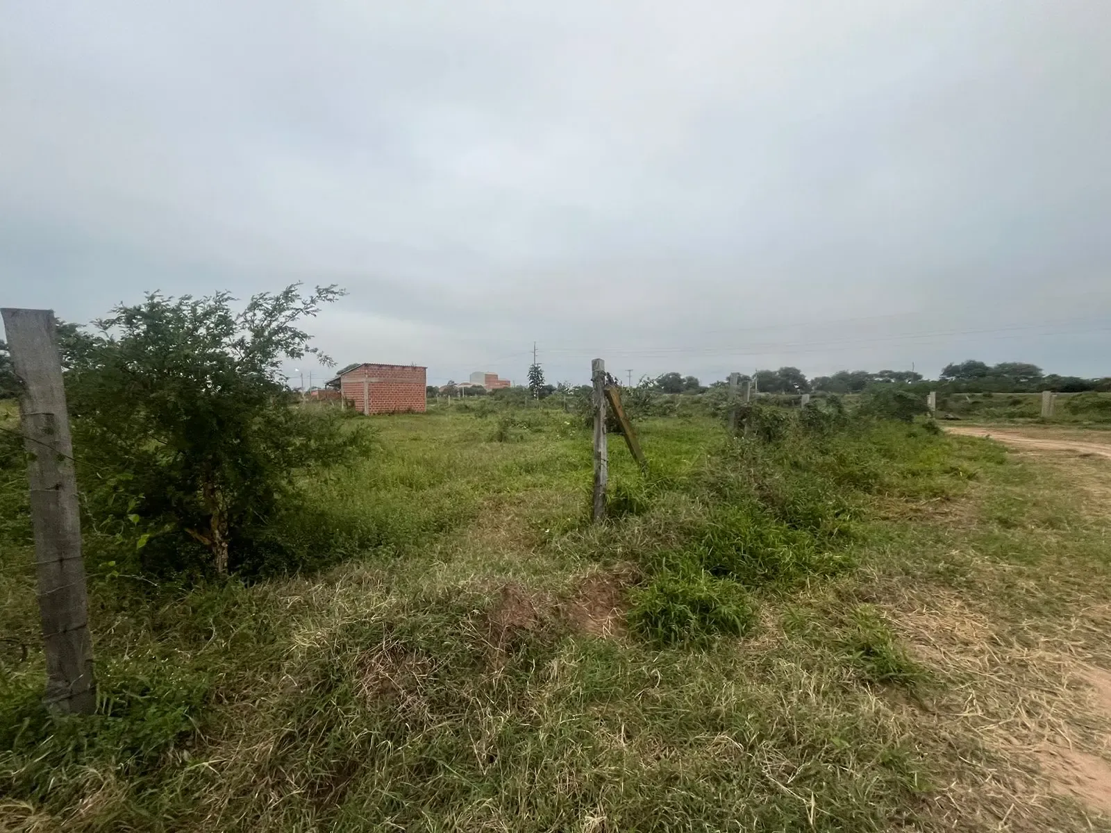 Foto 4 de Terreno Amplio en El Municipio de Cotoca