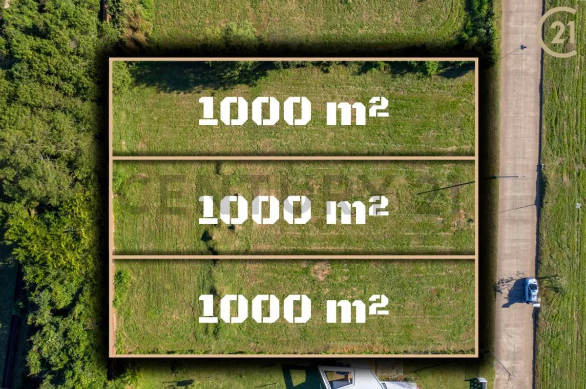 Foto 4 de Terreno en Venta en La Mejor Zona de La Ciudad