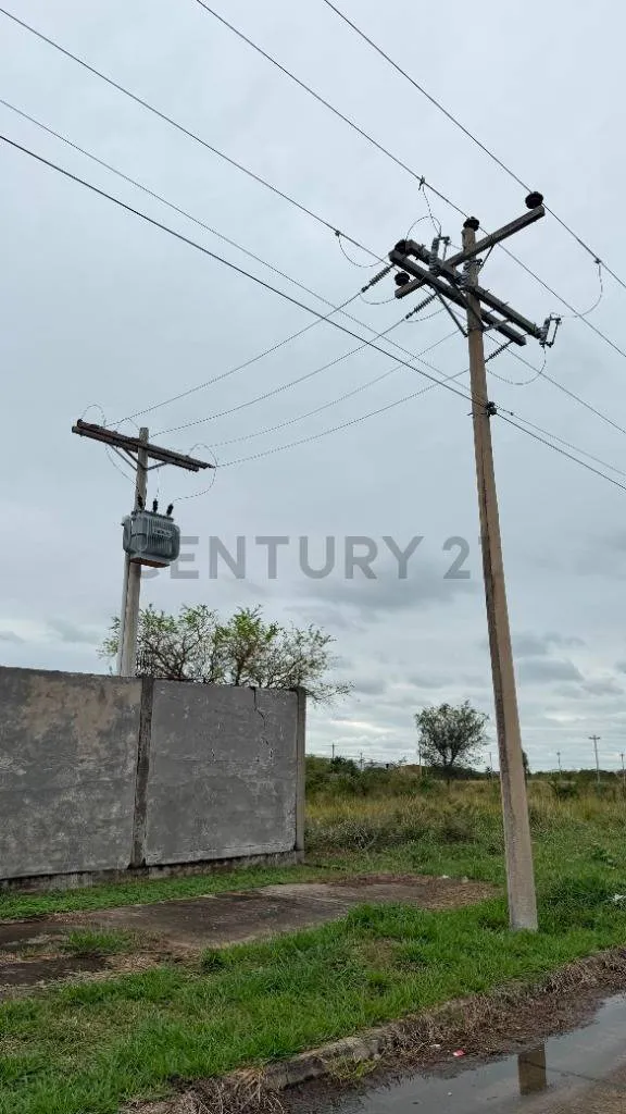 Foto 4 de Terreno en Alquiler Parque Industrial Latinoamericano (PILAT) Sta. Cruz-Bolivia