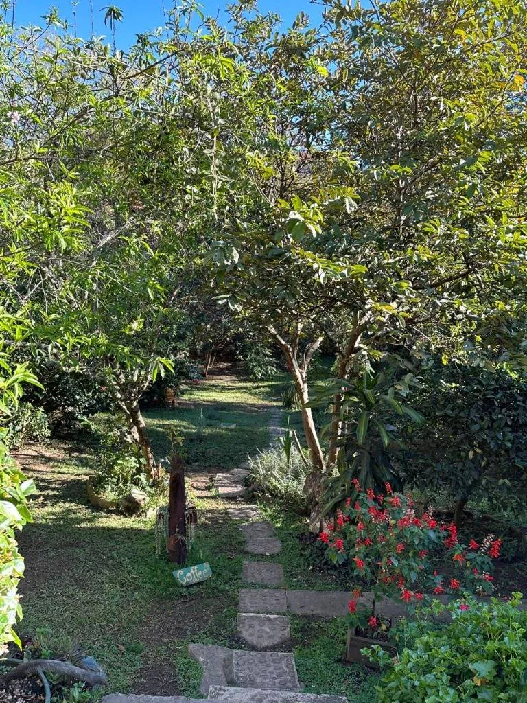Foto 17 de Casa en Venta - con Historia en Samaipata