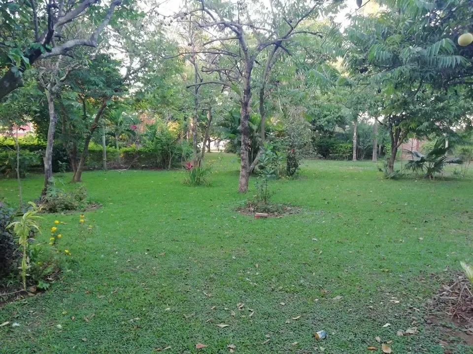 Foto 1 de Quinta en Pailon 8 Hectareas en Venta