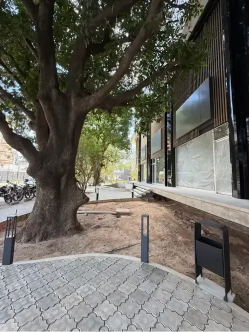 Foto 5 de Local comercial nuevo en alquiler sobre Av. Beni entre 2.º y 3.º anillo