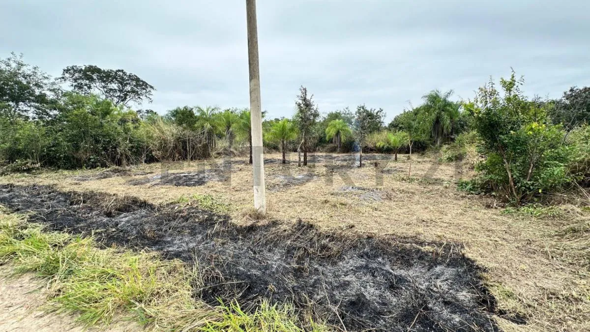 Foto 3 de Dos Terrenos Juntos o por Separado en Venta – Excelente Oportunidad