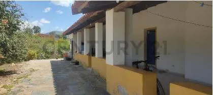 Foto 4 de Quinta Productiva Dentro del Pueblo ( a 70 Metros)