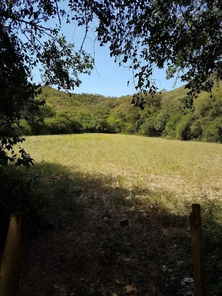 Foto 2 de Hermosa Propiedad De 840ha cerca de Vallegrande