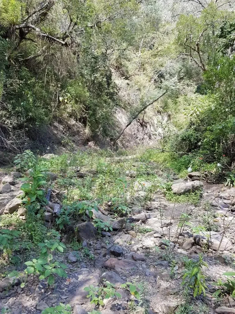 Foto 4 de Hermosa Propiedad De 840ha cerca de Vallegrande