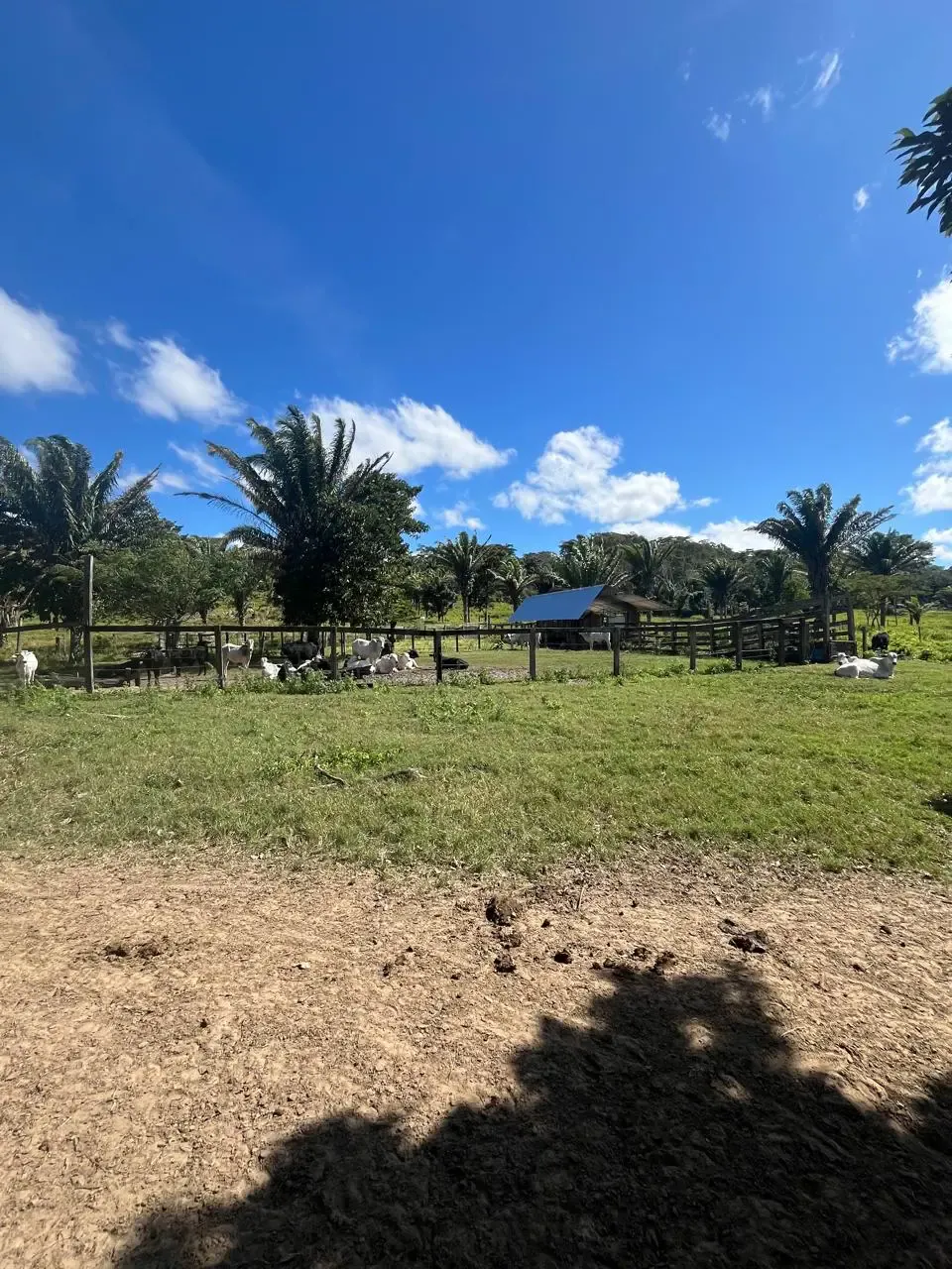 Foto 1 de En Venta | Propiedad Ganadera en Porongo