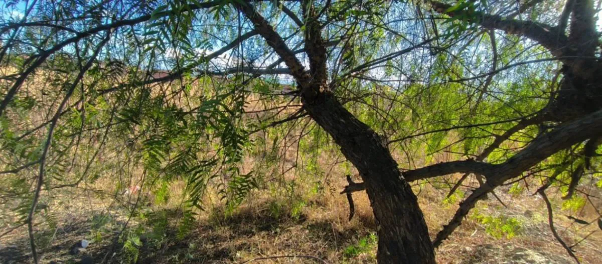 Foto 4 de Lote en Venta en El Paso