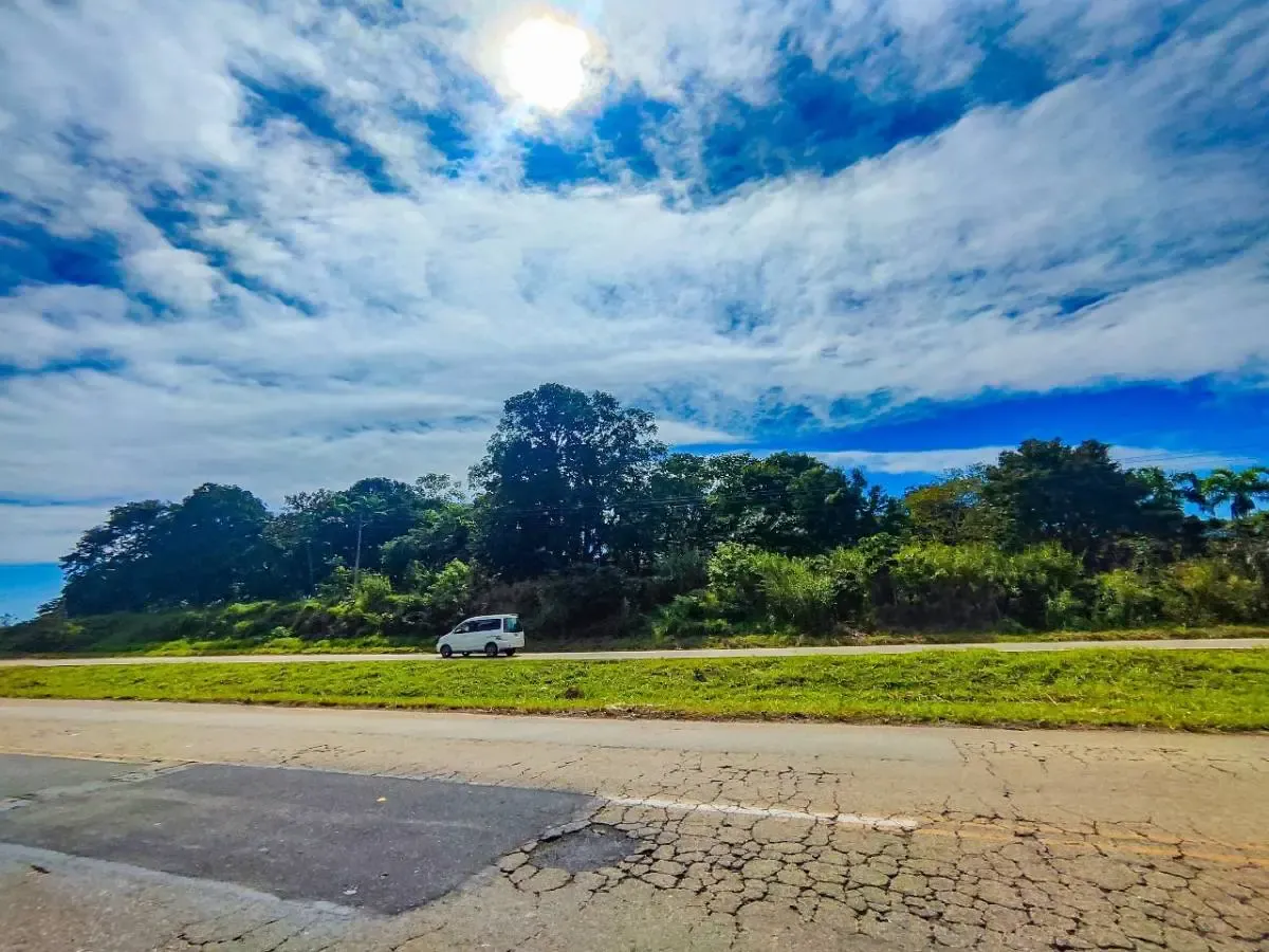 Foto 5 de Propiedad Rural en Venta Sobre Carretera Buena Vista - Zona Noroeste