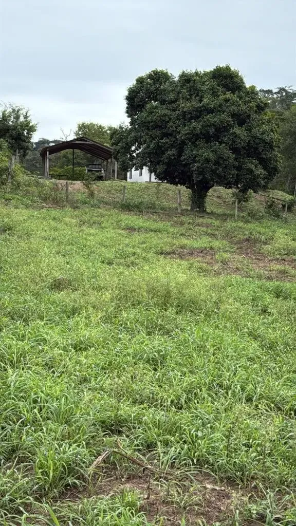 Foto 4 de Hermosa propiedad Ganadera en Venta Municipio de Cabezas