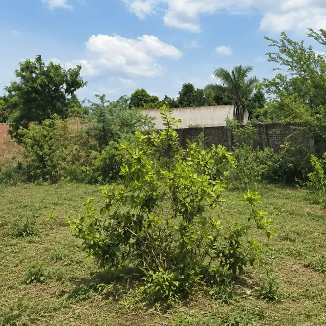 Foto 1 de 🏡 Terreno en Venta | Urbanización Integración del Norte – Fase II