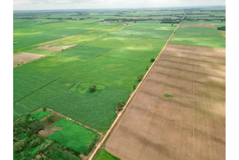 Foto 9 de 🌱 Propiedad Cañera en Venta – Zona Mineros / Obispo Santiesteban 🌱