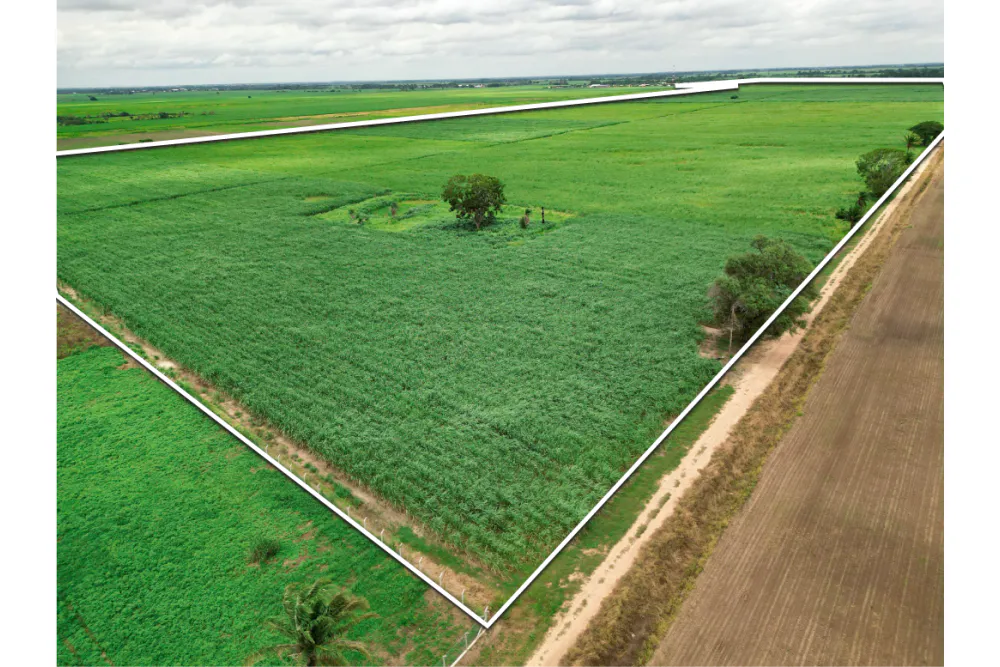 Foto 5 de 🌱 Propiedad Cañera en Venta – Zona Mineros / Obispo Santiesteban 🌱