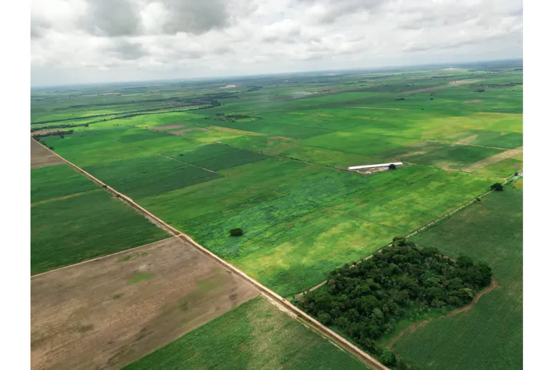 Foto 7 de 🌱 Propiedad Cañera en Venta – Zona Mineros / Obispo Santiesteban 🌱