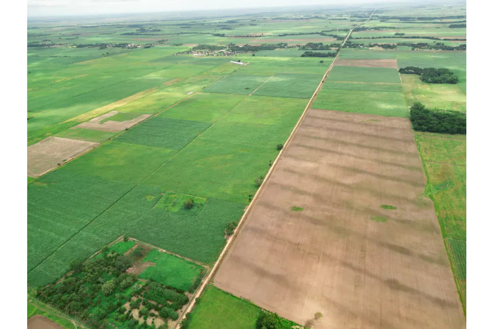 Foto 17 de 🌱 Propiedad Cañera en Venta – Zona Mineros / Obispo Santiesteban 🌱