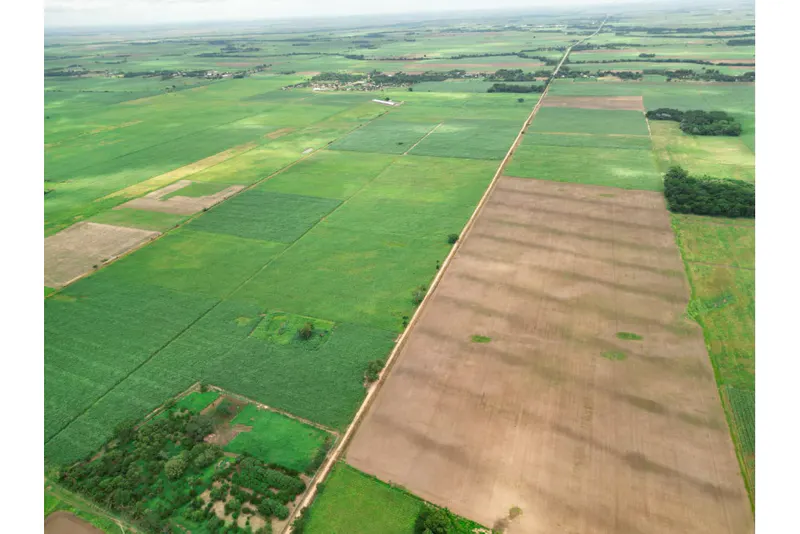 Foto 17 de 🌱 Propiedad Cañera en Venta – Zona Mineros / Obispo Santiesteban 🌱