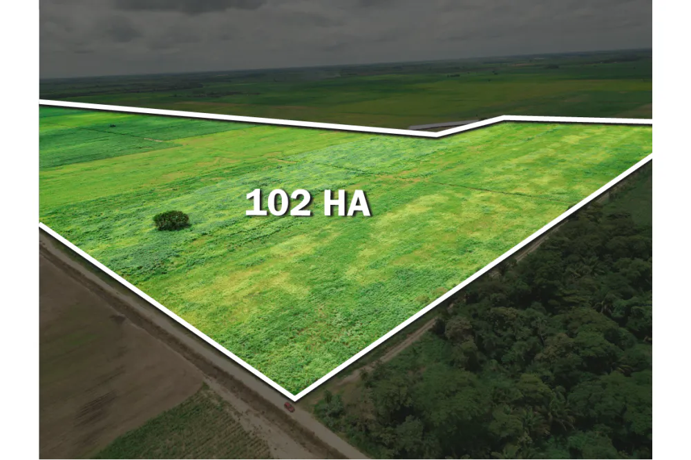Foto 4 de 🌱 Propiedad Cañera en Venta – Zona Mineros / Obispo Santiesteban 🌱