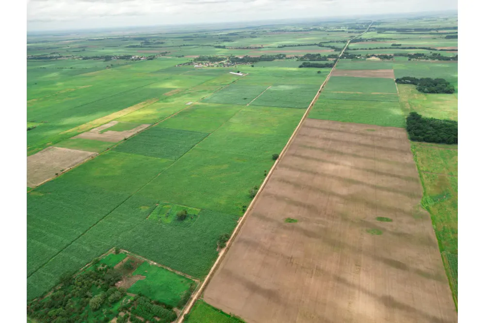 Foto 8 de 🌱 Propiedad Cañera en Venta – Zona Mineros / Obispo Santiesteban 🌱