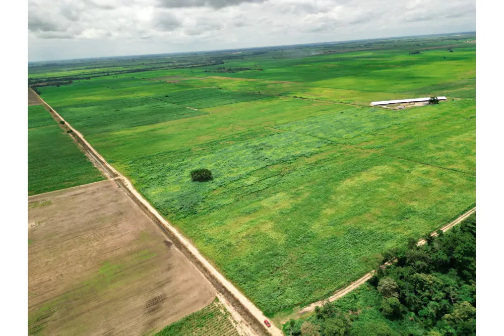 Foto 10 de 🌱 Propiedad Cañera en Venta – Zona Mineros / Obispo Santiesteban 🌱