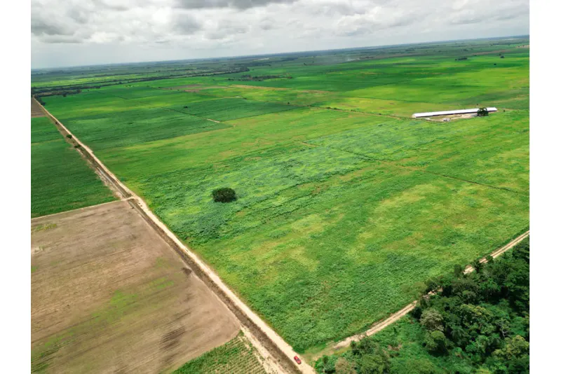 Foto 10 de 🌱 Propiedad Cañera en Venta – Zona Mineros / Obispo Santiesteban 🌱