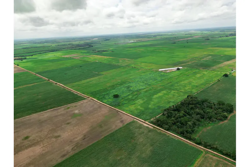 Foto 16 de 🌱 Propiedad Cañera en Venta – Zona Mineros / Obispo Santiesteban 🌱