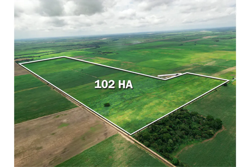 Foto 3 de 🌱 Propiedad Cañera en Venta – Zona Mineros / Obispo Santiesteban 🌱