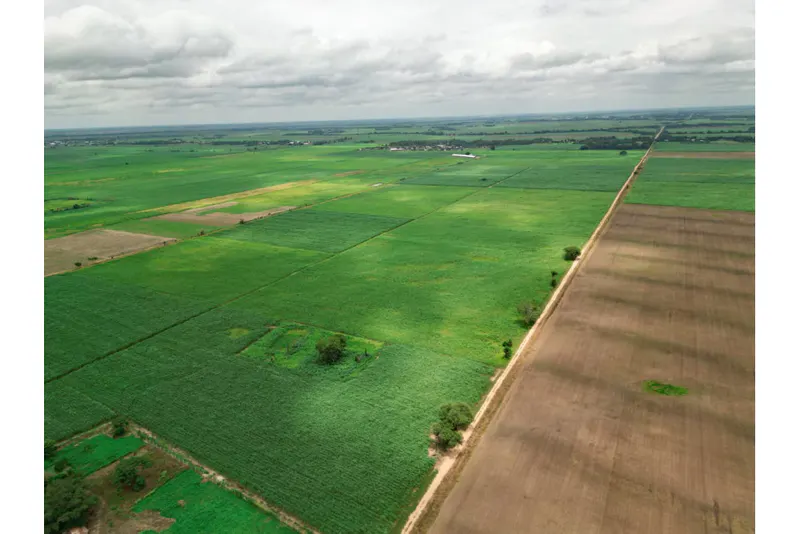 Foto 18 de 🌱 Propiedad Cañera en Venta – Zona Mineros / Obispo Santiesteban 🌱
