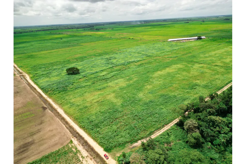 Foto 20 de 🌱 Propiedad Cañera en Venta – Zona Mineros / Obispo Santiesteban 🌱