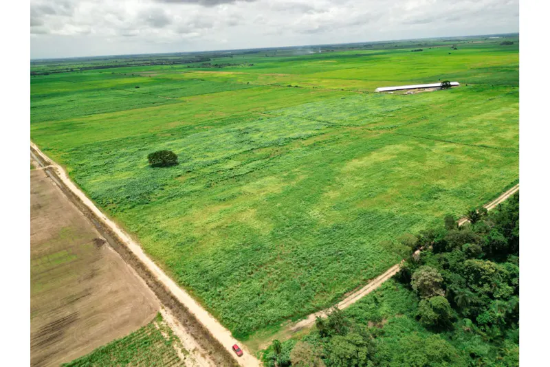 Foto 20 de 🌱 Propiedad Cañera en Venta – Zona Mineros / Obispo Santiesteban 🌱