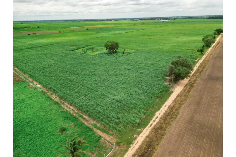 Foto 15 de 🌱 Propiedad Cañera en Venta – Zona Mineros / Obispo Santiesteban 🌱