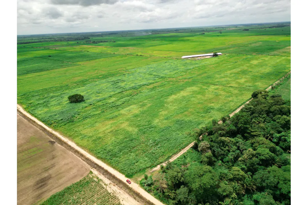 Foto 11 de 🌱 Propiedad Cañera en Venta – Zona Mineros / Obispo Santiesteban 🌱