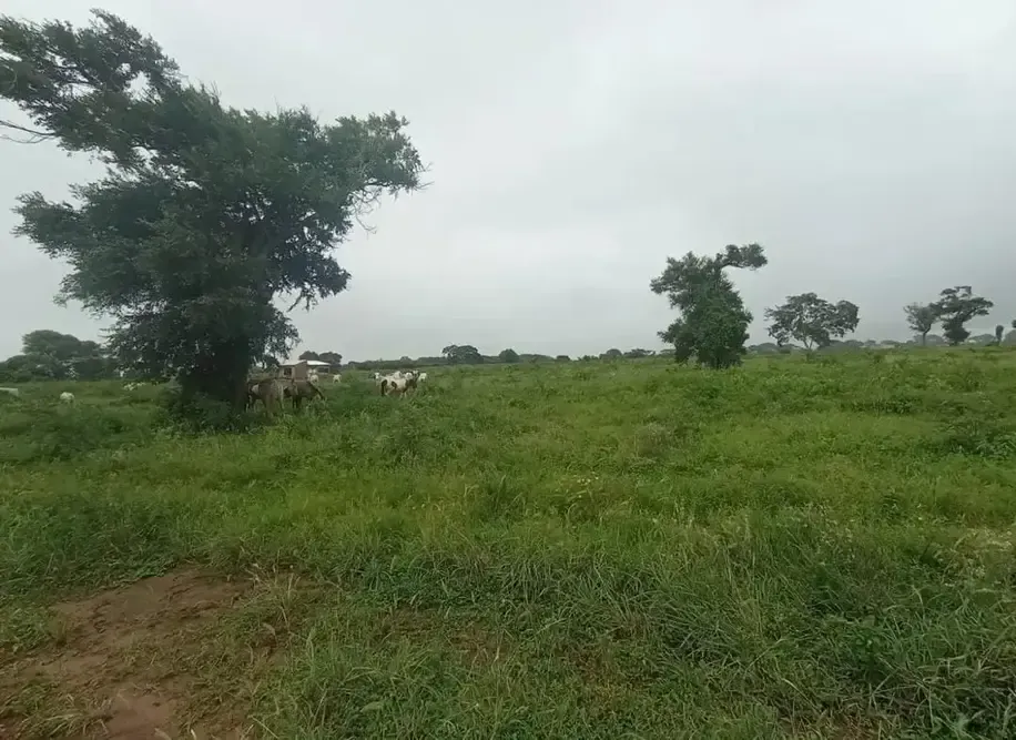 Foto 2 de 🌟 ¡Tu Terreno en Cotoca