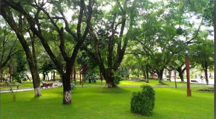 Foto 4 de Cementerio en Venta - Buena Vista