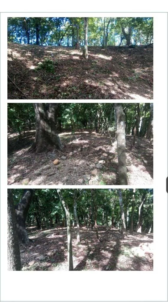 Foto 12 de Cementerio en Venta - Buena Vista