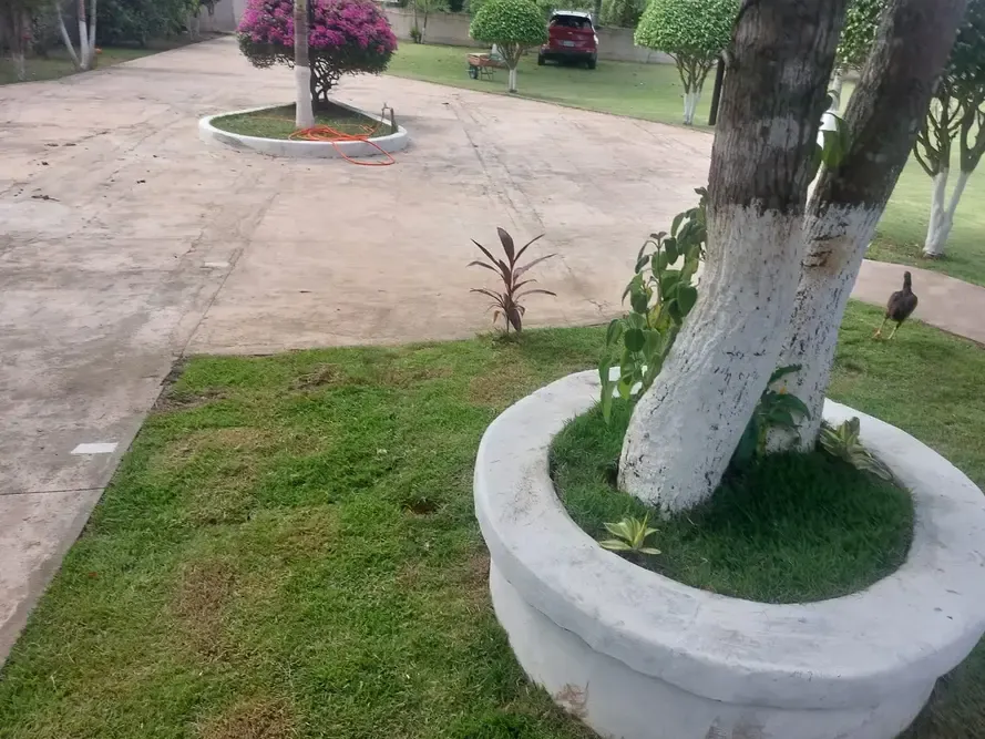 Foto 4 de Casa Quinta en Venta – Colpa Bélgica