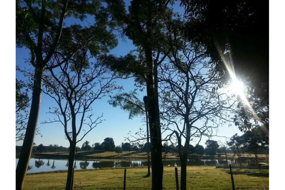 Foto 4 de Terreno en Venta en Buena Vista