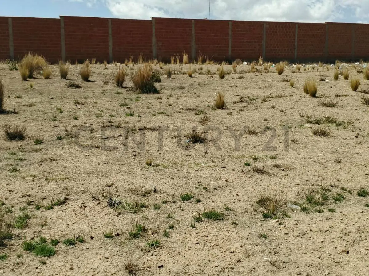 Foto 1 de Terreno en Venta Carretera El Alto - Oruro (Sector Samo)