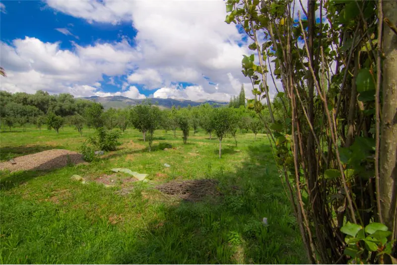 Foto 15 de Hermoso Lote de Terreno en Venta Suticollo L-2 Mf