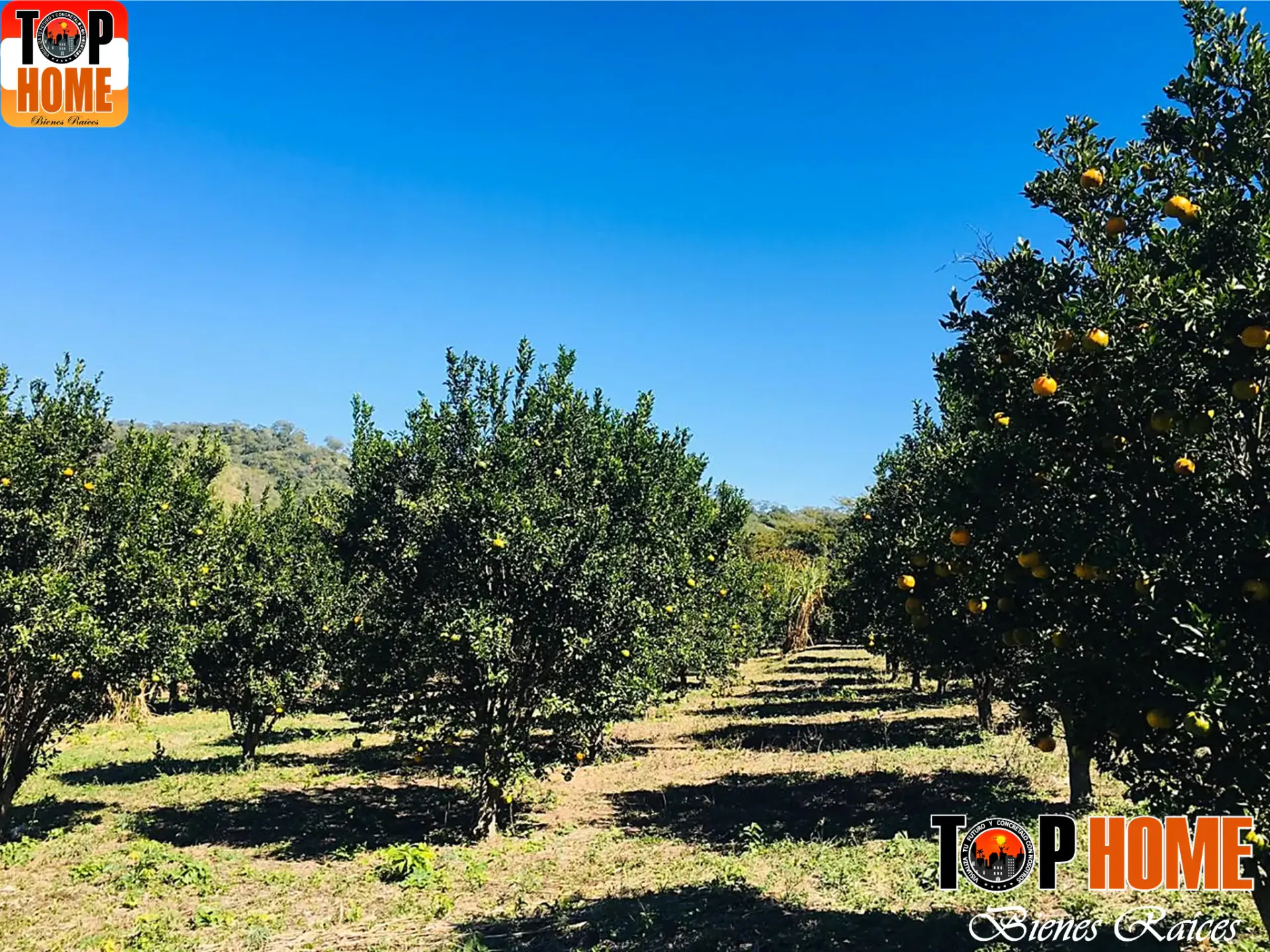 Foto 6 de Hermosa Propiedad en Venta en Jorochito\ Se Permuta